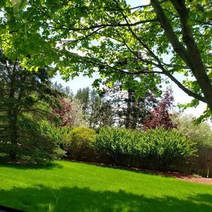 Meet your Posher, Wendy